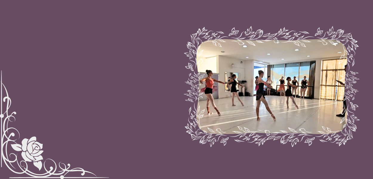 Oferecemos Ballet Clássico