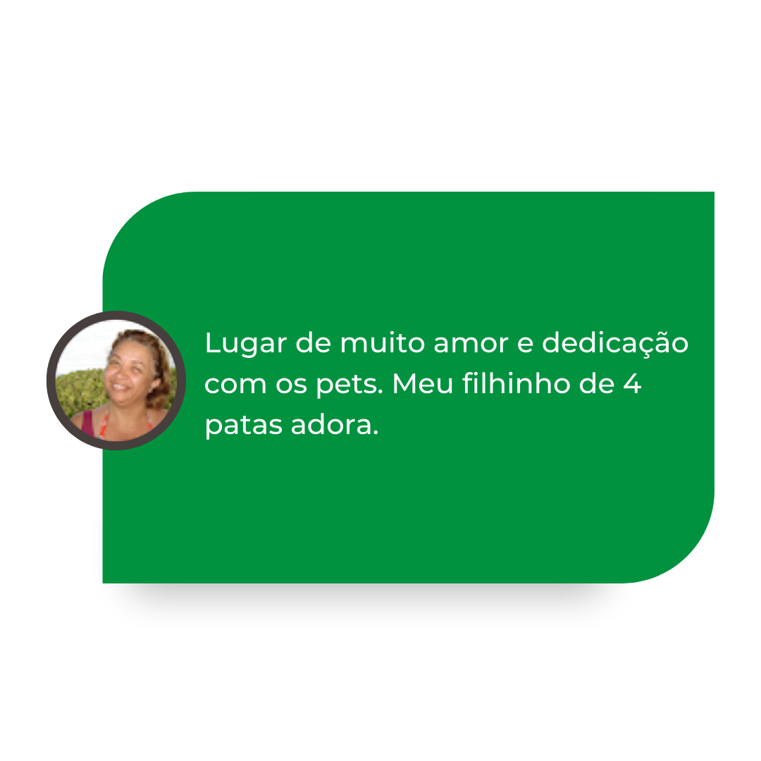  Solange Rocha Leite