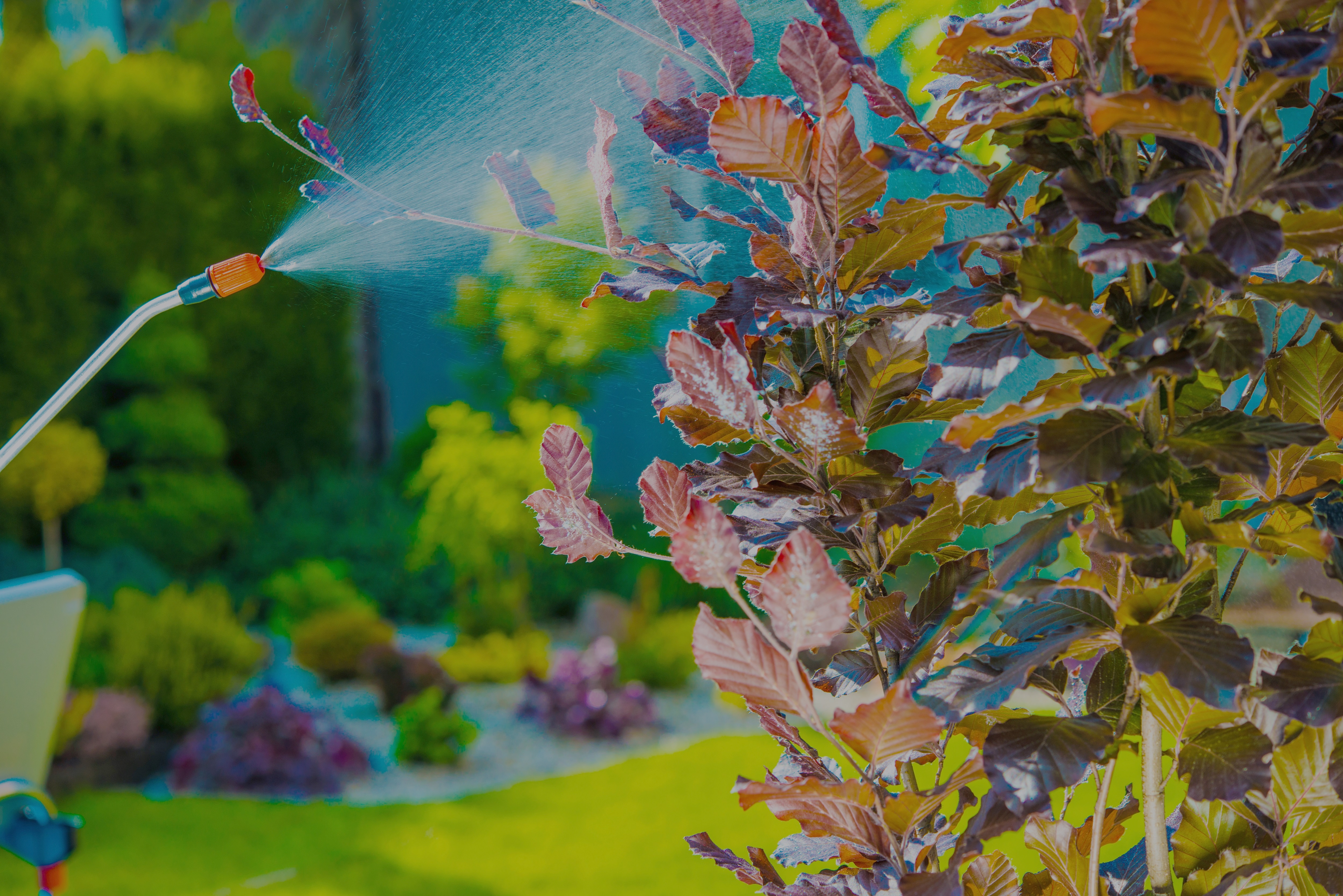 Como funciona o serviço de dedetização de condomínios