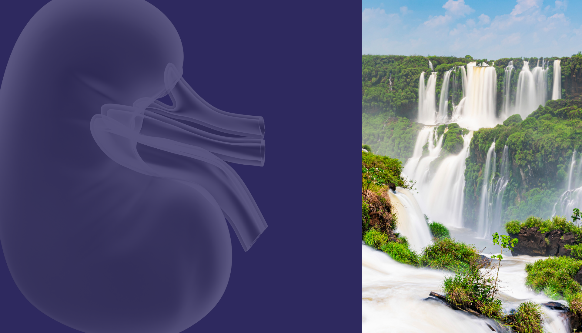 Cuidamos da sua saúde enquanto você aproveita cada momento em Foz do Iguaçu
