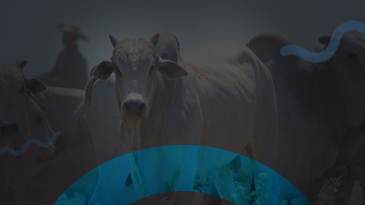 MasterFertility<br>Laboratório de Andrologia Animal e Biotécnicas aplicadas à Reprodução Animal.