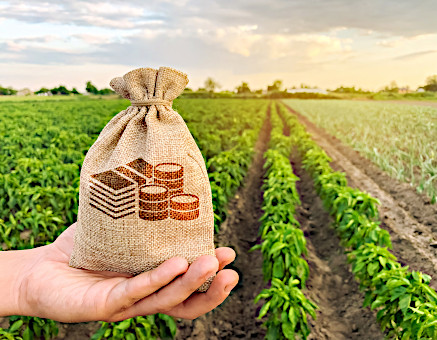 Crédito para produtor rural