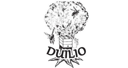 Duílio – caixas para abelhas sem ferrão