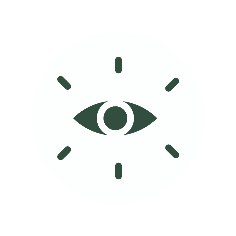 Visão