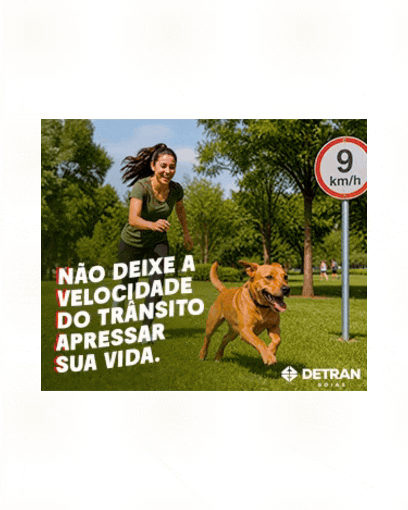 https://goias.gov.br/detran/