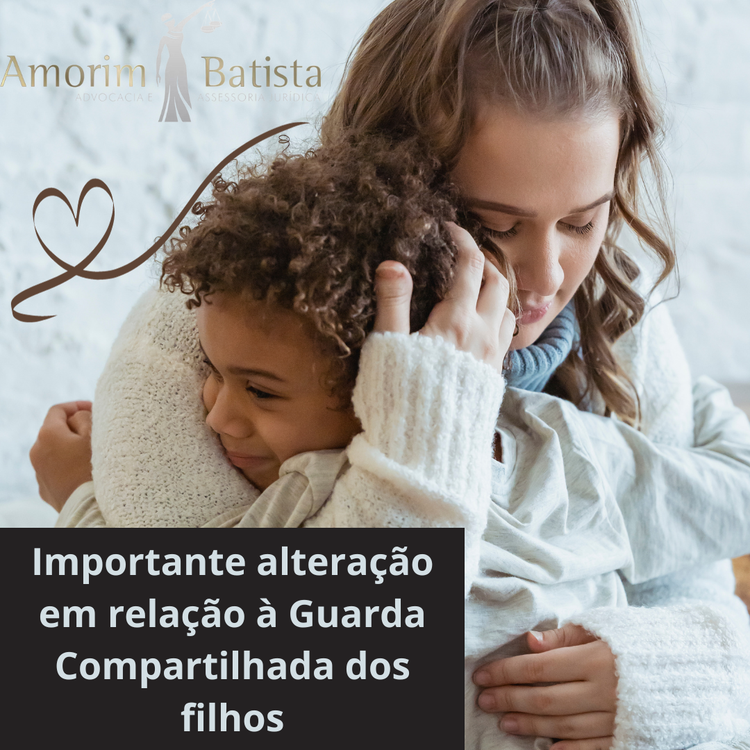Guarda Compartilhada Post Instagram