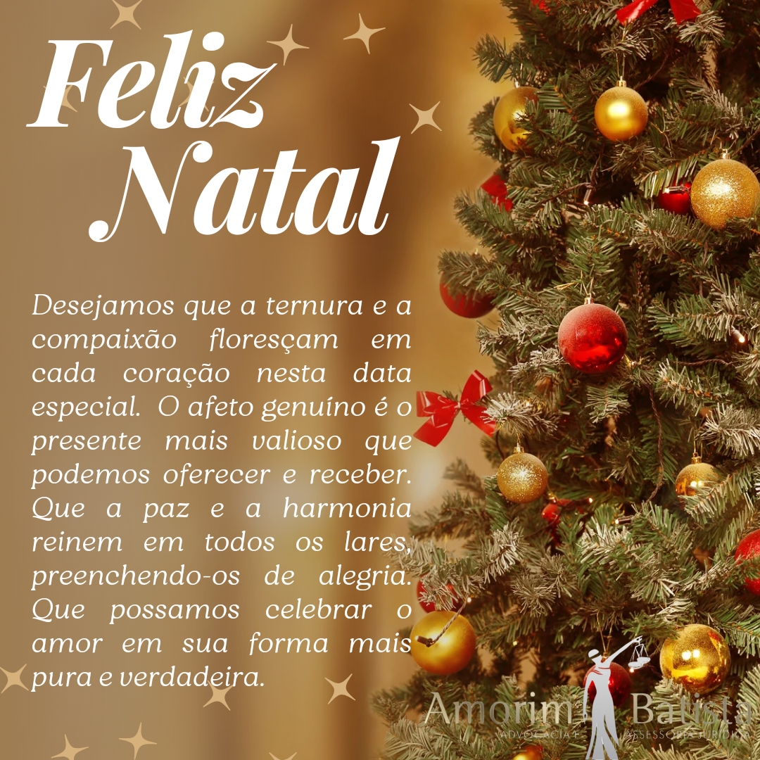 Feed Instagram Mensagem Feliz Natal Delicado Elegante_20241223_221433_0000