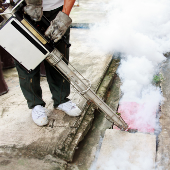 Design sem nome - 2023-05-24T164659.352