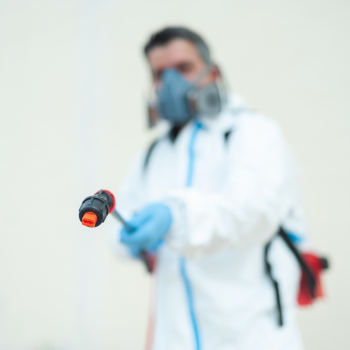 Design sem nome - 2023-05-24T165830.922