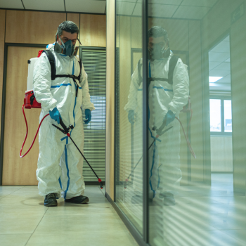 Design sem nome (55)