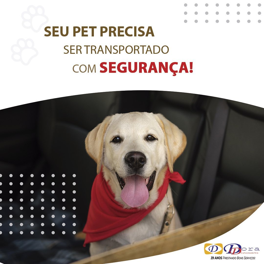 pet