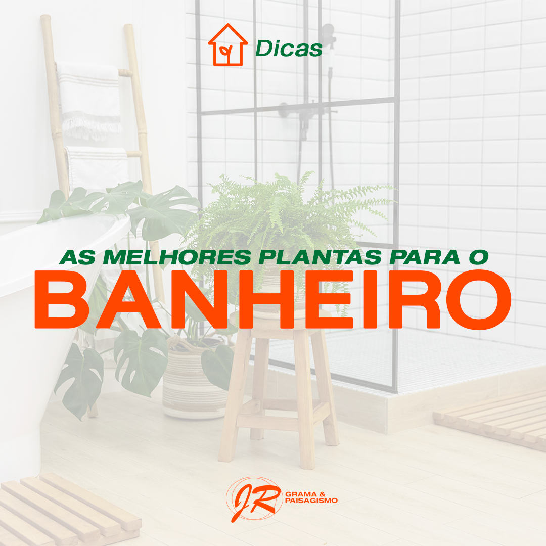 Post-7---AS-MELHORES-PLANTAS-PARA-o-banheiro