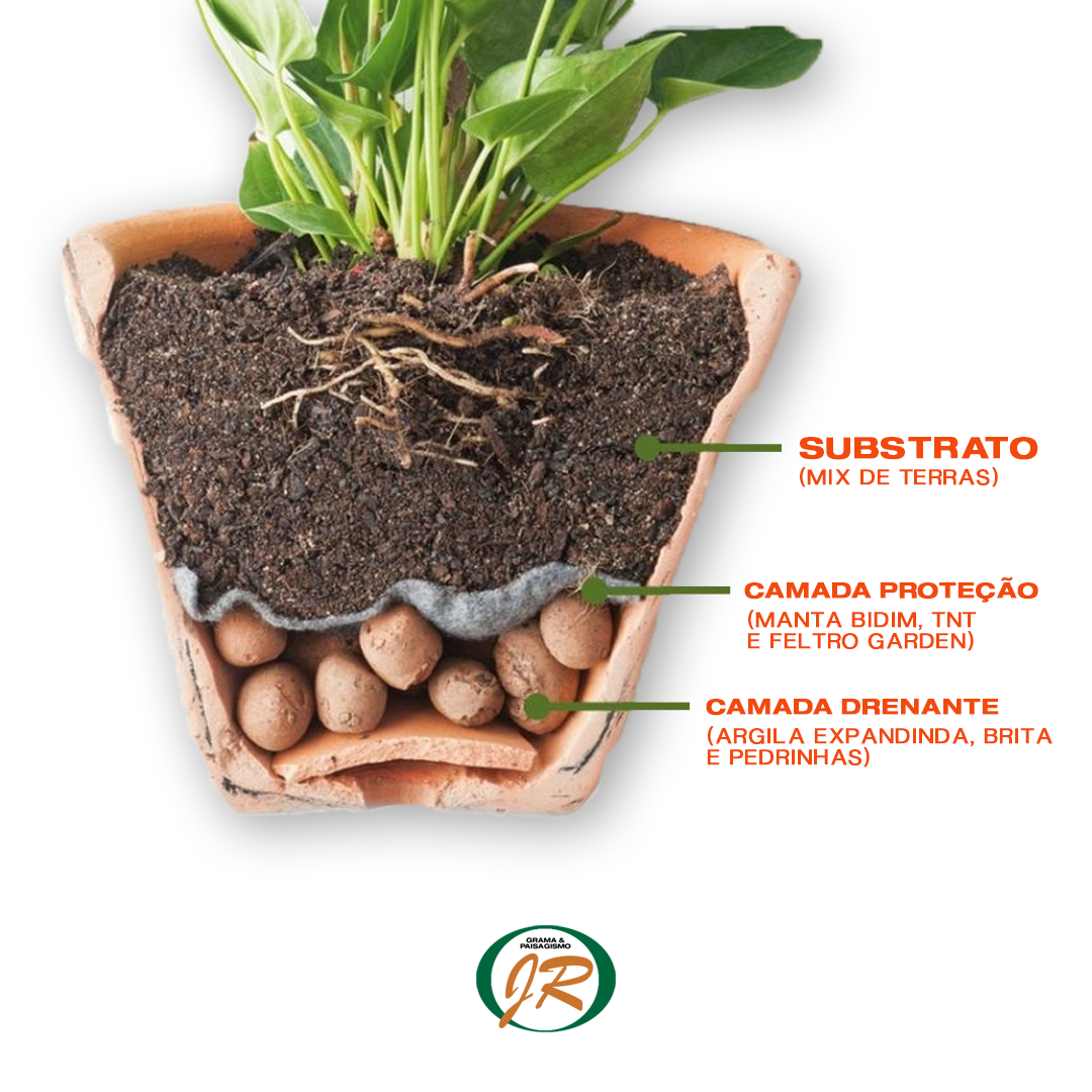 Post-9---PLANTIO-EM-VASO-–-COMO-FAZER_
