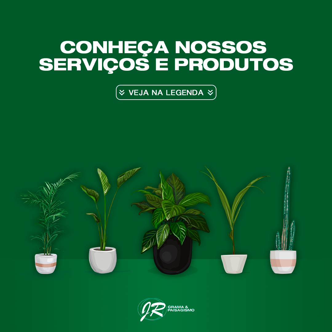 Post-2---Serviços