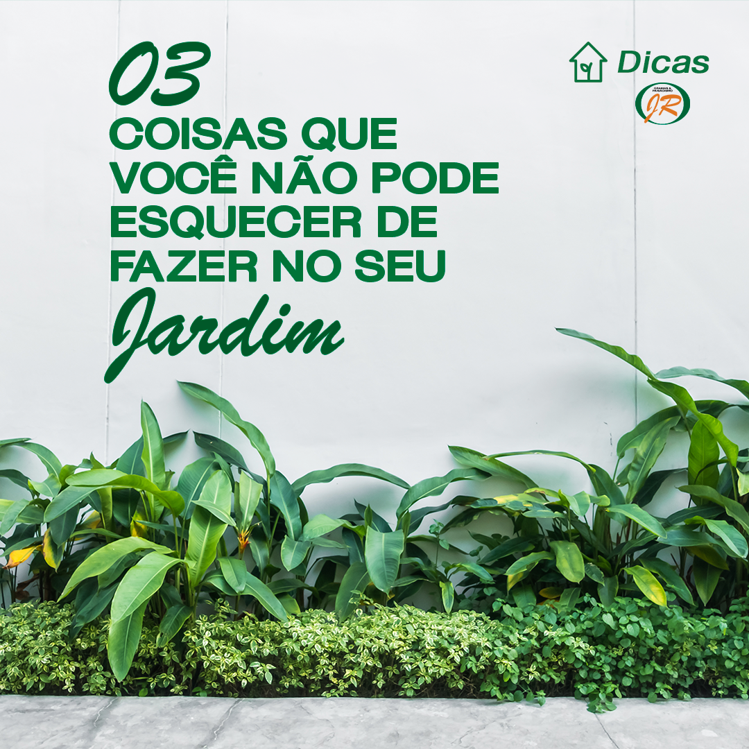 Post-1---Dicas-não-esquecer