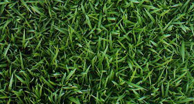 gramas_esmeralda