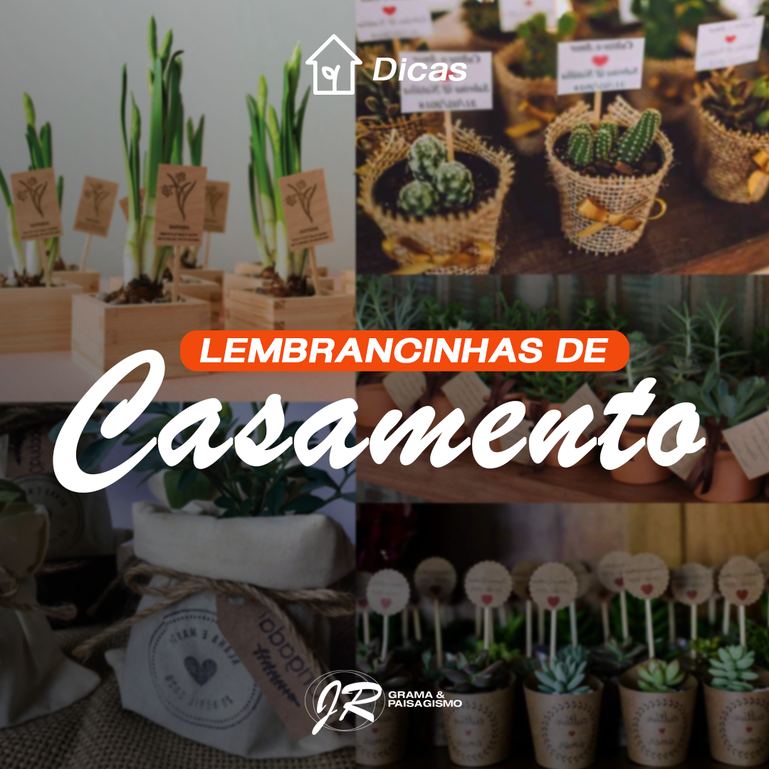 Post-5---lembrancinhas-plantas