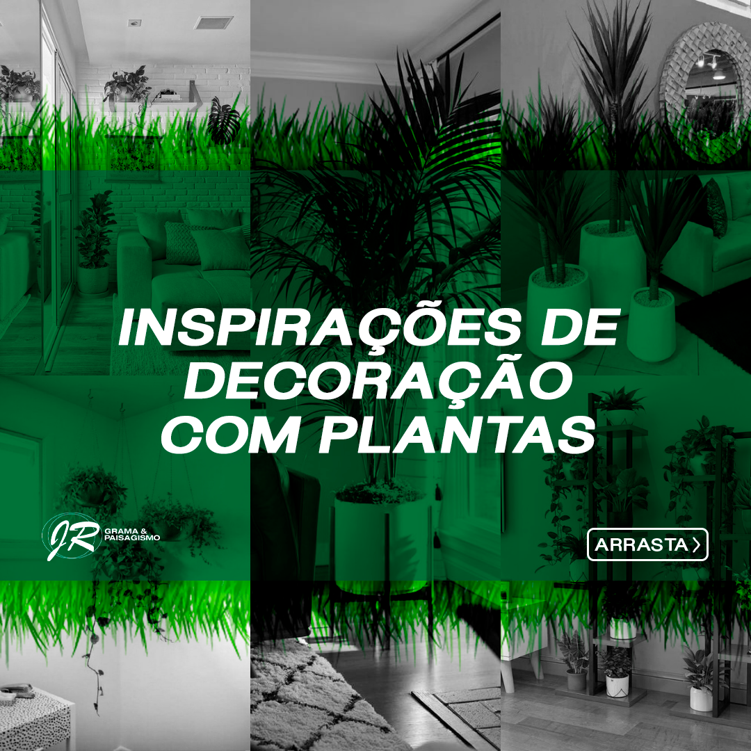 Capa-post-7 (1)