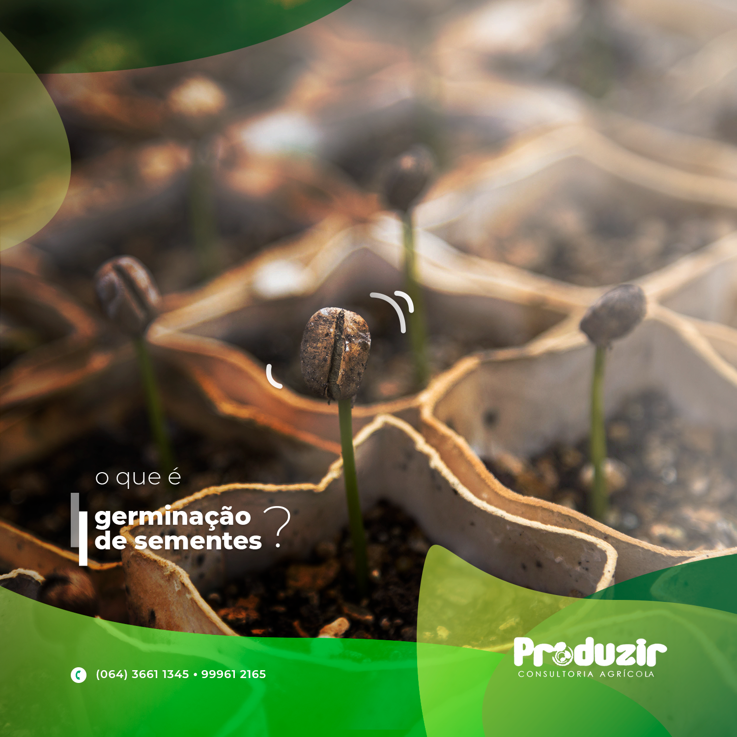 Produzir (5)
