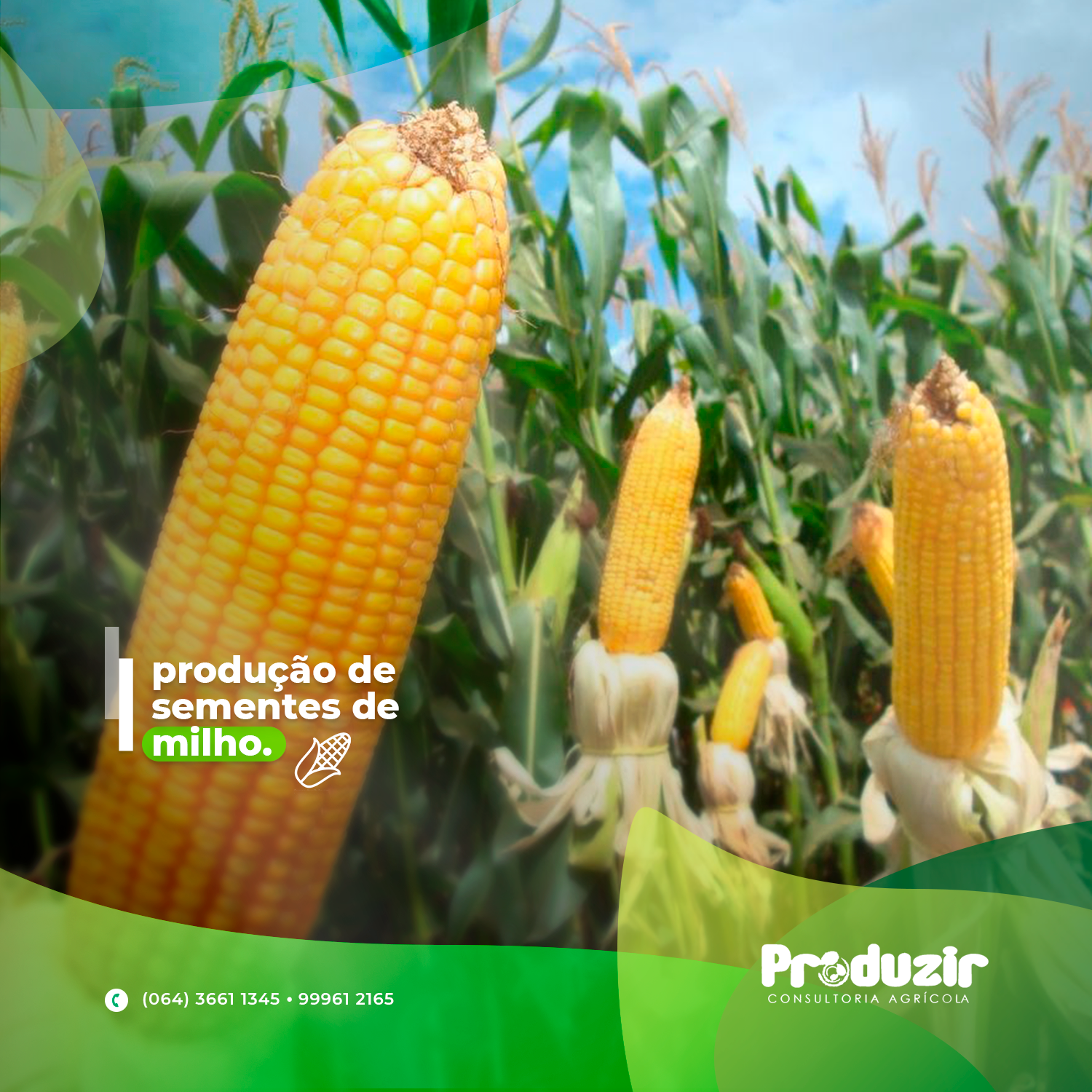 Produzir (10)