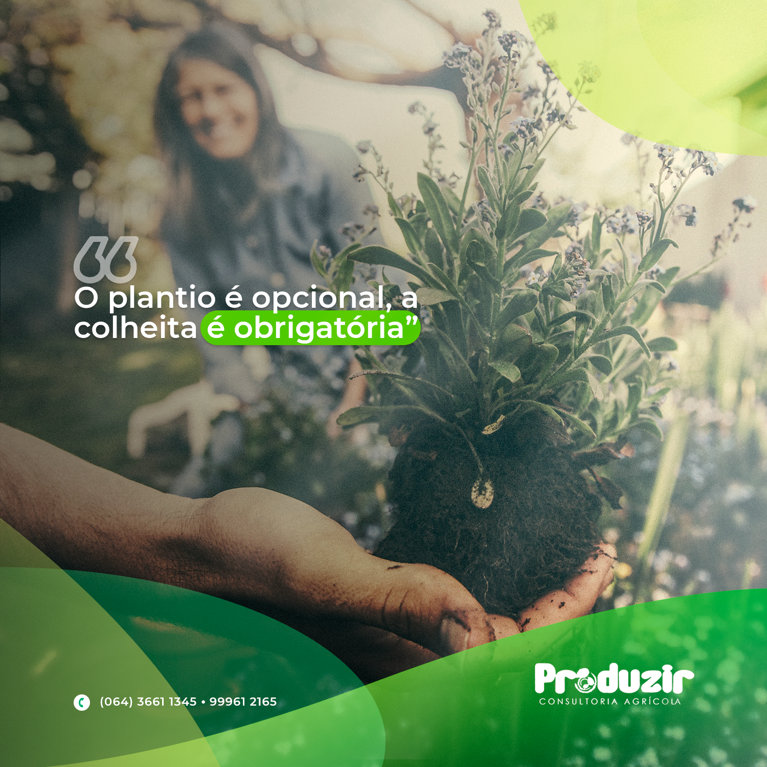 Produzir (3)