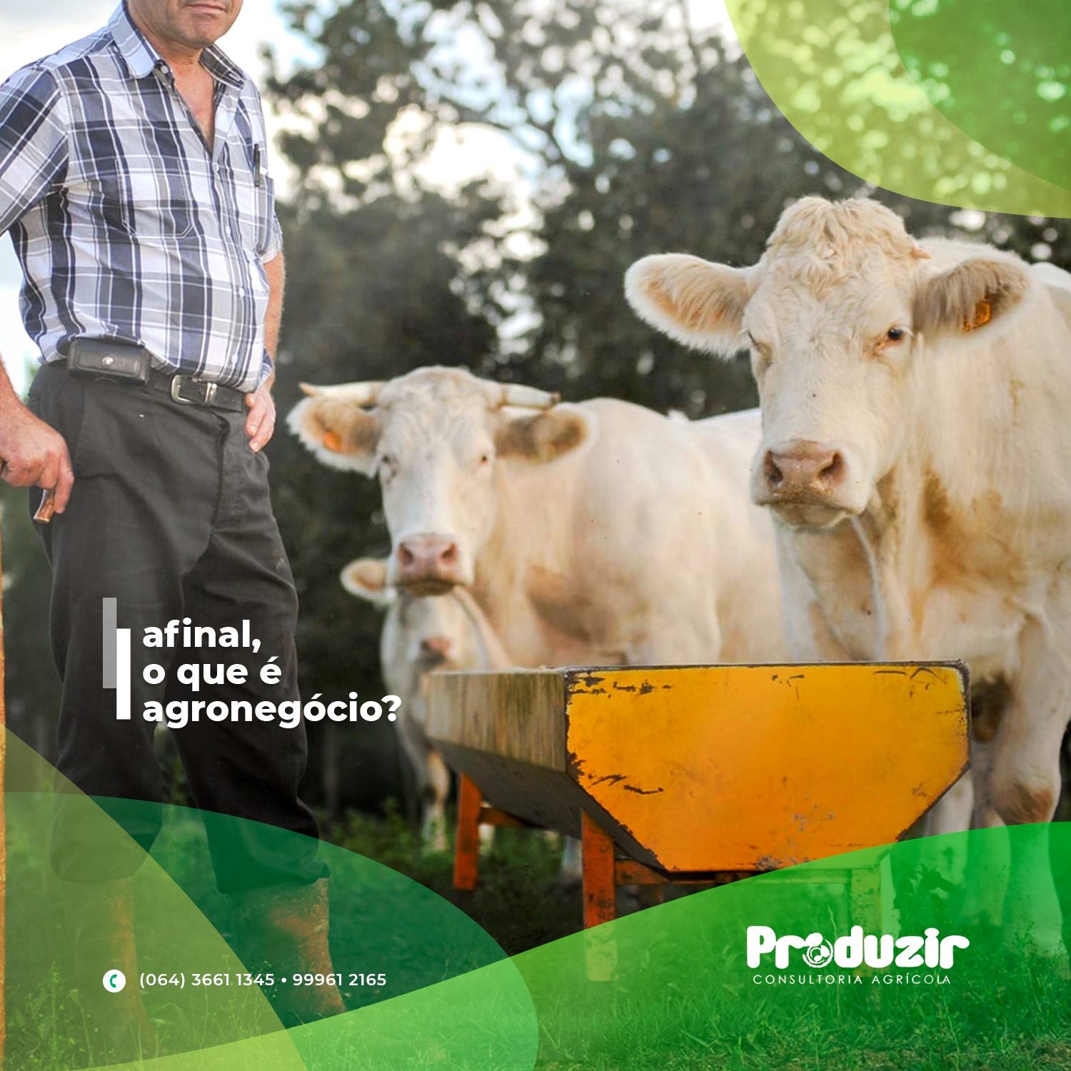 Produzir (6)