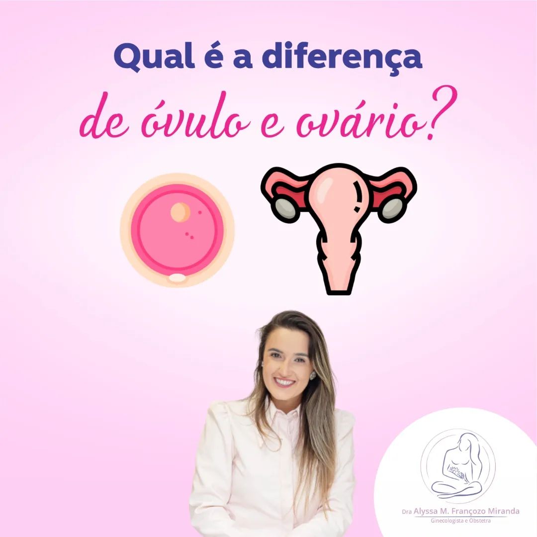 diferença entre óvulo e ovário