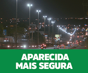 WebBanner-300x250-Segurança---Aparecida-de-Goiânia