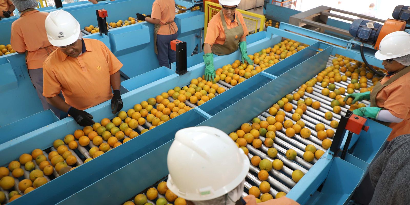 laranja exportação