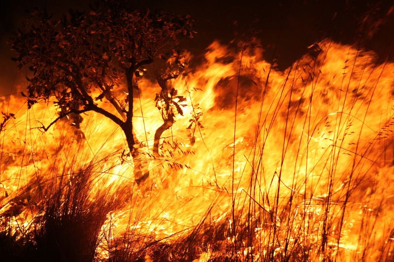 Queimadas em alerta por todo o Brasil