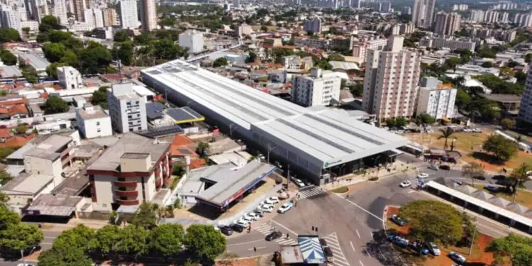 Foto - Alex Malheiros - Prefeitura de Goiânia